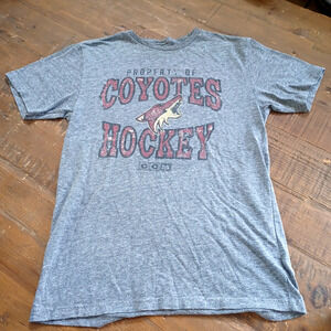 VTG Phoenix Coyotes CCM NHL Hockey T-Shirt Size S Distressed Gray